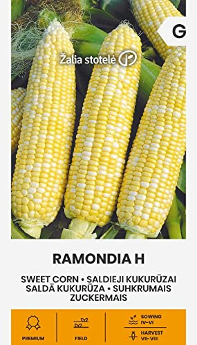 Zalia stotele | ZUCKERMAIS RAMONDIA H samen| Gemüsesamen | Pflanze samen | Gardensamen | 1 Pack