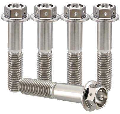 RISON-Titanium 5 Stück Titanschrauben M6x1.0x20mm, Titan Flansch Schrauben Sechskantschraube, Titan Schrauben Gebohrter Bolzen Bremssattelschraube Motorradschrauben Autoschrauben