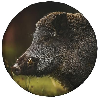 Housse de pneu de roue de secours pour voiture, sanglier et cochon, curieusement regardant l'impression, étanche à la poussière, housse de roue 38,1 cm