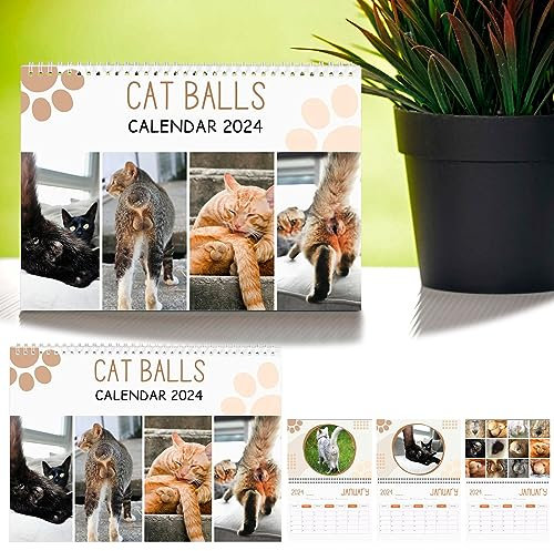 Cats Butts 2024 für Katzenliebhaber – lustiger Katzenkalender, Po-Kalender 2024, monatlicher Wandkalender, niedlich, lustig, Hunderasse, Schwanz, Hintern, Haustier, hat 12 Monate