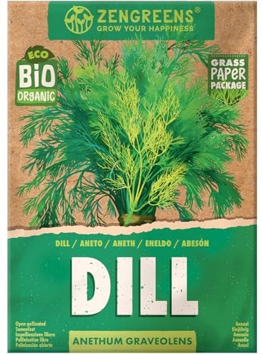 ZenGreens® Semi di aneto biologico - Semi di erbe aromatiche per la coltivazione in giardino, sul balcone o in cucina - Ideali per i principianti