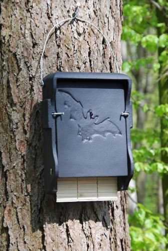 Schwegler Fledermausflachkasten 1FF