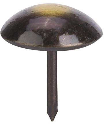 100Pcs Polsternagel, Polsterstifte Möbelnägel für Möbel Dekorationsstifte Polsterstifte Polsternägel Antike Möbelstifte(16 * 20mm)