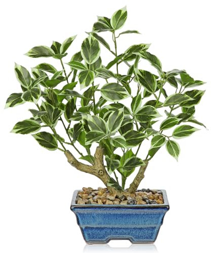 Briful 15.3 Artificial Ficus Fake Plants in Blue Ceramic Pot, 39cm White Green Ficus Bonsai Tree Faux Plants, Artificial Plants Indoor Small Artificial Ficus Tree for Home Office Decor