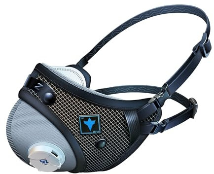 RZ Mask FFP2 – mascherina antipolvere antismog con filtro a carboni attivi - Certificata CE EN149, Filtro 98%, Comfort Elevato, Custodia + 1 Filtro Extra