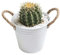 Jjoer Blumentopf Metalleimer Blumentopf Rund ÜBertöPfe Blumentopf Metall BlumenüBertopf Tragbarer Blumentopf PflanztöPfe Zum HäNgen Zink FüR Home Decor