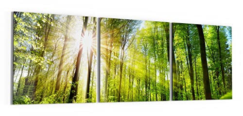 DEQORI Glasbilder Acrylglas | Motiv Licht durchdringt Bäume | horizontal 3-teilig 150x50 cm | große XXL Deko | Wandbilder für Wohnzimmer, Schlafzimmer, Flur & Küche | moderne Wanddeko