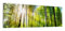 DEQORI Glasbilder Acrylglas | Motiv Licht durchdringt Bäume | horizontal 3-teilig 150x50 cm | große XXL Deko | Wandbilder für Wohnzimmer, Schlafzimmer, Flur & Küche | moderne Wanddeko