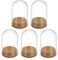 PATIKIL Klare Cloche-Glasglocke, 5er-Pack Glasglocke Display-Gehäuse Tischmitte mit Korkboden für LED-Lichtpflanzen Wohnkultur 2,32x3,94 Zoll