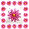 30PCS Window Fly Traps, Fly Stickers for Windows Fly Catcher for Indoor, Floral Pattern Design Sticky Fly Killer Pink Flower Style (Pink)