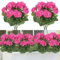 TOCHGREEN Künstliche Kunstblumen, rosenrote Geranie, Seidenblumen, für den Außenbereich, UV-beständig, 2 Bündel, Kunstblumen, Geranien für den Außenbereich, Garten, Veranda, Fenster, Box, Zuhause,