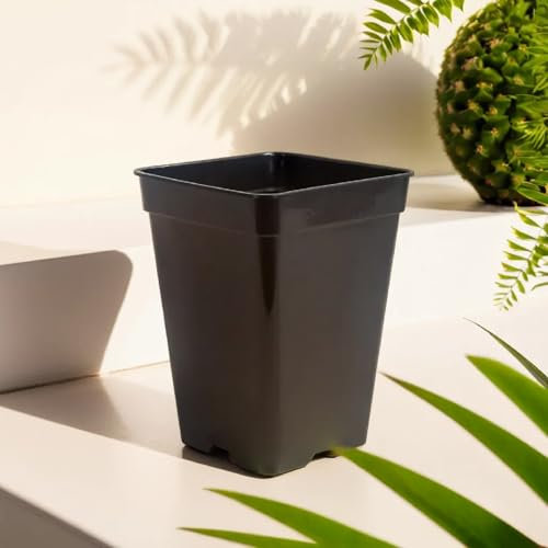 Amax Ferts Macetas Cuadradas Negras, Tiesto para Plantas y Flores, Plástico Resistente Atóxico, Macetero para Cultivo Interior y Exterior con Agujeros de Drenaje (10, 7 litros)
