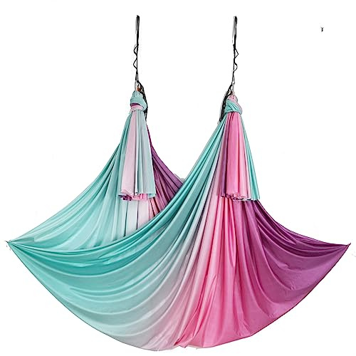 wellsem Aerial Yoga Hammock Aerial Pilates Silk Yoga Swing Set Include Carabiners Daisy Chain, Pose Guide 5.5 Yards Set
