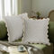 TINYSUN Beige Scalloped Pillow Covers - Set of 2, Double-Sided Embroidered Wavy Design, Premium Chenille Decorative Cushion Covers for Living Room Sofa Couch Bed(Almond Beige,18x18 Inch)
