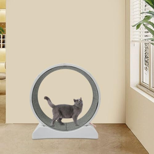 Katzenlaufrad Laufrad für Katzen Durchmesser 80cm Katzen Laufrad Ultraleises Sicherheits Trainingsspielzeug,Für die Meisten Katzen Geeignet