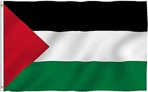 Zac's Alter Ego 5 x 3 Feet Large Palestine Flag