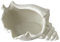 Cyrank Muschel Schale, Groß, Sea Shell Dekoschale, Keramik Schlüssel Ablageschale, Muschel-Dekoration Figur, Schmucktablett Im Ozean-Stil, Strand-Dekoration Für Zuhause, Aufbewahrungssc