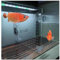 IBOWZ Aquarium Trennwand Transparente Isolierplatte für Aquarien, Trennwand aus Acryl, Netzwerktrennwand, verhindert Angriffe von Fischen und Schildkröten, jeweils klar, Größe: 58 x 60 cm