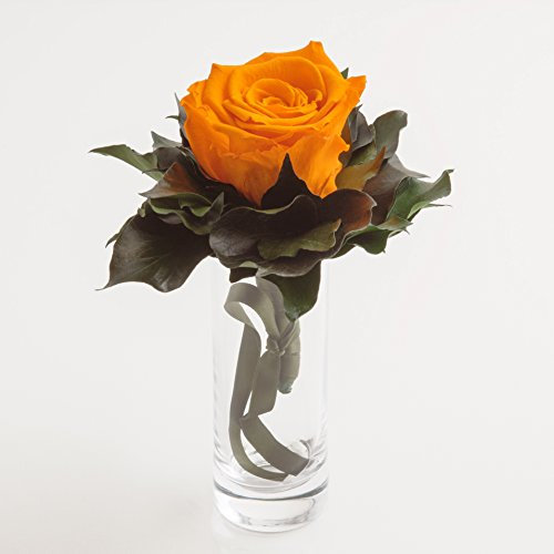 Blumenstrauß langhaltend Ewige Rose konserviert mit Glasvase haltbar 3 Jahre von ROSEMARIE SCHULZ GmbH Heidelberg (Gelb)