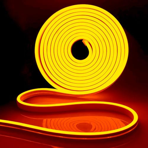 iNextStation Ruban LED Néon 5M Orange, 12V Néon Bande LED Lumineuse IP65 Etanche Silicone Découpable Flexible Néon Lumière pour Chambre, Fête, Bar, Cuisine Décoration (Sans Adaptateur Secteur)