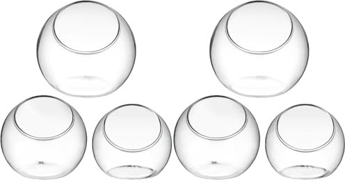Happyyami Lot de 6 pots de fleurs transparents en verre à bulles pour plantes succulentes - Terrariums en verre pour plantes - Pots de terrarium - Décorations en verre - Boule juteuse