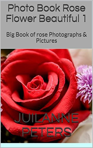 Photo Book Rose Flower Beautiful 1: Big Book of rose Photographs & Pictures