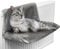 FiNeWaY Cat And Dog Radiator Bed- Warm And Cosy Pet Radiator Bed With A Strong Durable Metal Frame And Comfortable Fleece Cover -Ideal For Cats And Even Small Dogs Or Puppies