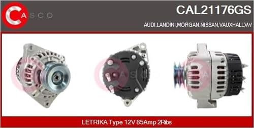 CASCO CAL21176GS Lichtmaschine Landini, Case