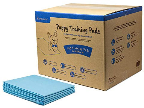 AllPetSolutions Puppy Pads - Disposable Puppy Training Pads Dog Toilet Sheets with 5 Highly Absorbent Layers & Odour Control Leak-Proof Non Slip Matting for Pet Wee - Extra Large, 60x90cm - 100-Pack