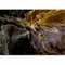 murando PREMIUM Papier peint Marbre 350x256 cm Décoration Murale XXL Poster Tableaux Muraux Tapisserie Photo Aspect Béton Mur de pierre 3D Effet multicolore f-A-10122-a-a