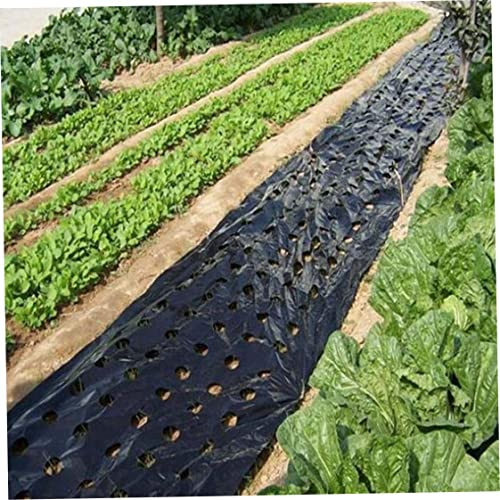 Hperu Biologisch abbaubare Mulchfolie, 5 Löcher, schwarz, perforierte PE-Kunststoff-Mulchfolie für landwirtschaftliche Gemüsegartenpflanzen, 90 x 90 cm – Garten-Kunststoff-Unkrautbarriere