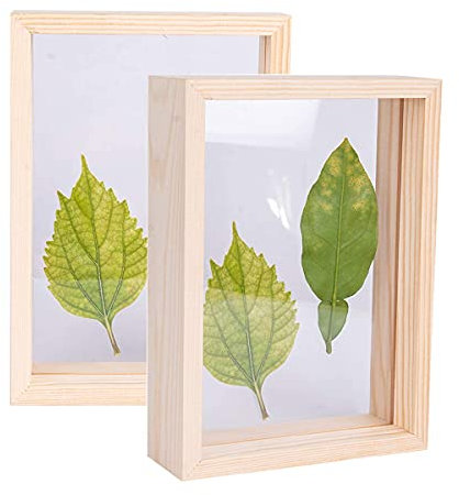 C&Z 2Pcs 4x6 Holz-Bilderrahmen, doppelseitig, Acryl, Herbarium, Pflanzen, Probe-Rahmen für gepresste Blumen, getrocknete Blätter, Tische, Wanddekoration