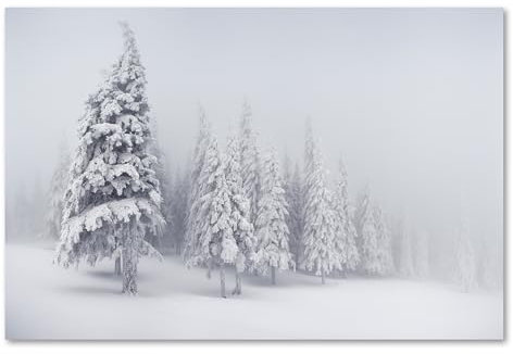 Postereck - 1407 - Winter, Landschaft Natur Schnee Bäume Wald Nebel - Wandposter Fotoposter Bilder Wandbild Wandbilder - Poster - DIN A4-21,0 cm x 29,7 cm