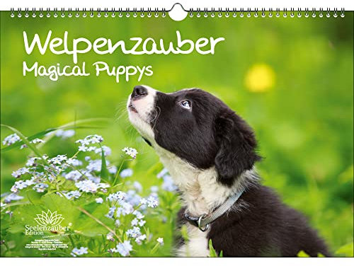Welpenzauber DIN A3 Immerwährender Kalender Hunde Welpen - Seelenzauber