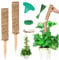 Vicloon Bastone per Piante, 2Pcs Piante Rampicanti Bastone, Stecche per Pianti 30cm, Palo Totem in Fibra di Cocco, Tutore per Pianti, Muschio Totem per Rampicante Estensione
