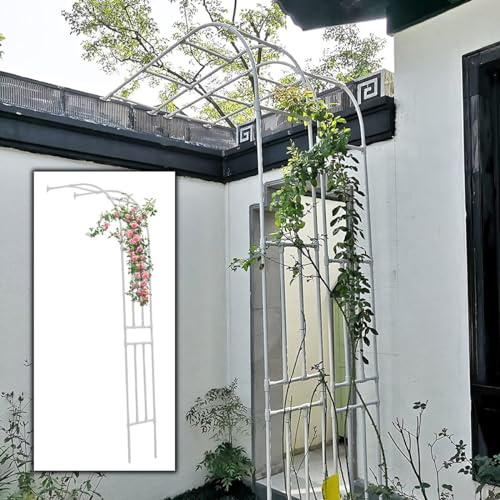 Arche Jardin à Rosiers Plantes Grimpantes Métal, Arches à Rosiers Demi Arche, 220cm 240cm 250cm 270cm 300cm Arcade de Soutien résistant aux intempéries pour Metal Tonnelle de Pergola (Couleur : Blanc