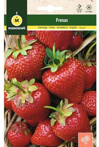 Mascarell Semillas, FRESAS, Semillas Flores Exterior para Decoración, 0,2 Gramos