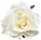 Onsinic Rose Coiffure Fleur Pin Up Fleur Broche Fleur Pince pour Dame Mariée Mariage Fête De Plage