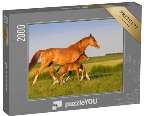 puzzleYOU: Puzzle 2000 Teile „Stute mit Hengstfohlen im Sonnenaufgang“ – aus der Puzzle-Kollektion Pferde, Fohlen