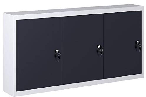 INLIFE Armario para herramientas de pared, diseño industrial, metal gris y negro, 13,95 kg, 145353