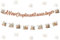 Storybook Brautparty-Dekorationen, A New Chapter Will Soon Begins Banner Storybook Thema Girlande Wildblume Floral Bridals Dusche Dekor für Mädchen Buch Themed Baby Shower Bridal Shower Supplies