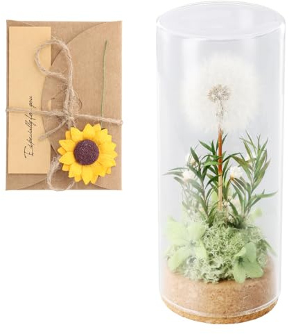 Konservierte Blume Wunschblume, Echte Wunscherfüller Pusteblume im Glas | Löwenzahn Geschenkidee, Ewige Blume Ewigblumen Plauderblume Besonderes Geschenk für Geburtstag, Mitbringsel & Wohnaccessoire