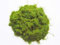 Javis JHG1 Statisch | Gras Nr. 1 Federmischung 2 mm