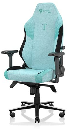 Secretlab Chaise Gaming Titan Evo Mint Green - Ergonomique, Confortable et Inclinable avec Accoudoirs 4D, Appui-Tête Magnétique et Support Lombaire Intégré à 4 Directions - Vert - Tissu