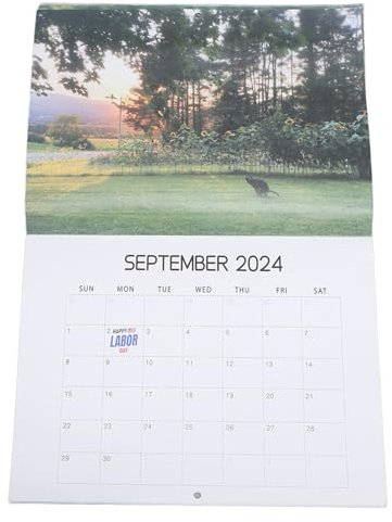 Fdit 2024 Hundekalender, Dekoration, Schöne Orte, Lustige Hunde, die Kacken, Wandkalender, Geeignet für Zuhause