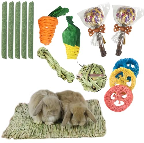 Sporgo Juego de 14 juguetes para conejo, cobaya, hámster con 2 alfombrillas de paja, juguete de hierba para cuidado dental, conejo, chinchilla, hámster, cobaya, jerbos