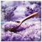 timalo Küchenbild aus Acrylglas modernes Wandbild Glasbild Deko Küche XXL Acryl-Bild wie Glas | 60x60cm Lavendel Salzkristalle violett Kristalle, Badesalz, Bad & Spa