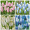 Bulbi di giacinto-Piante di giacinto-Muscari-piccoli e carini-La scelta migliore per la decorazione del balcone e la piantagione del giardino-a-8 bulbi