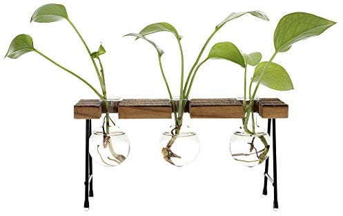 belupai Desktop Decorations, Clear Glass Beaker Vase Planter with Retro Solid Wooden Stand Metal Holder for Hydroponics Plants, Home/Garden/Wedding/Decor (3 Beaker Vase)