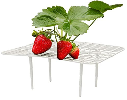 TTOCAR Erdbeer-Stützen, Erdbeer-Pflanzenschutz, Pflanzenunterstützung mit 4 stabilen Beinen, Erdbeer-Anzucht-Regal, Ständer, Wachstumsrahmenhalter, Käfig, hält Beeren sauber (weiß)
